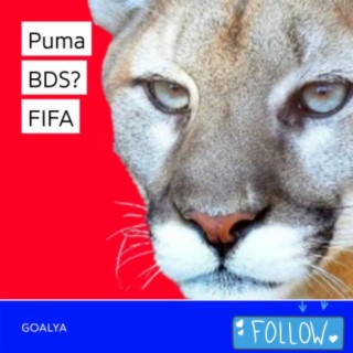Puma BDS? | FIFA