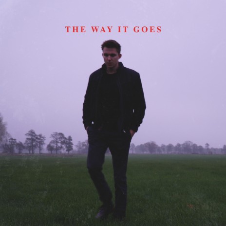 The Way It Goes | Boomplay Music