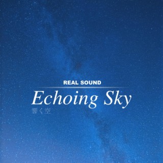 Echoing Sky (Original Game Soundtrack)