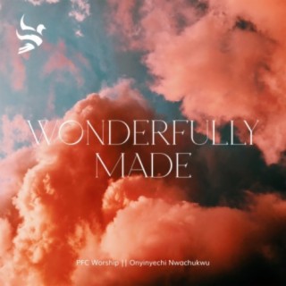 Wonderfully Made (feat. Onyinyechi Nwachukwu)