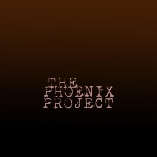 the phoenix project