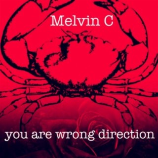 You are Wrong Direction