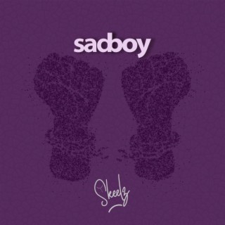 Sad Boy lyrics | Boomplay Music