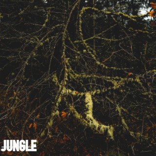 JUNGLE