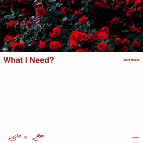 What I Need ft. amxn | Boomplay Music