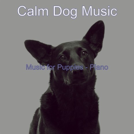 Calm Music for Doggies