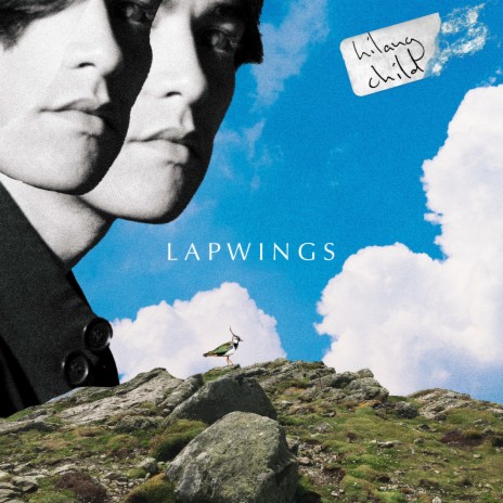 Lapwings | Boomplay Music