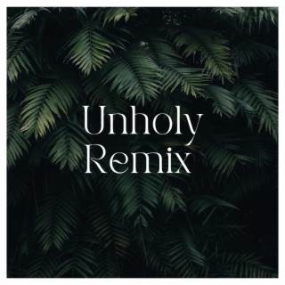 Unholy (Remix)