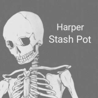 Stash Pot