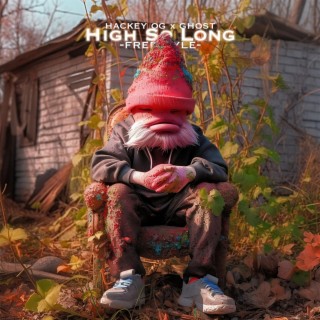 High So Long (Freestyle) lyrics | Boomplay Music