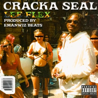 Crack A Seal