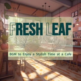 Bgm to Enjoy a Stylish Time at a Cafe