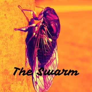 The Swarm