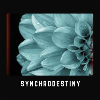 Synchrodestiny