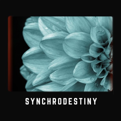 Synchrodestiny | Boomplay Music