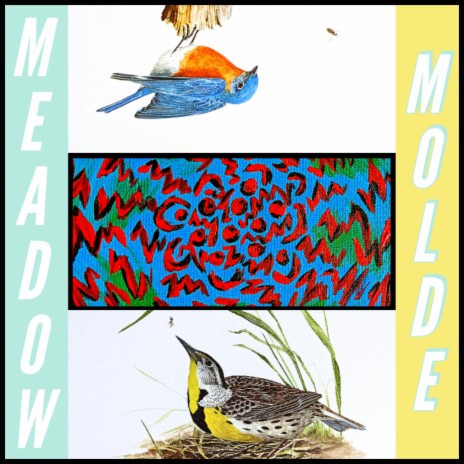 Meadow Molde