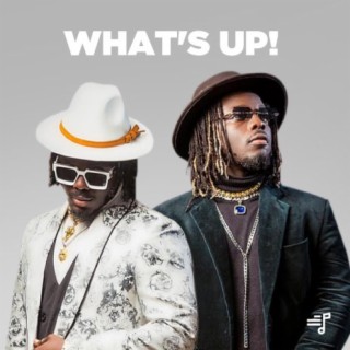What's Up!