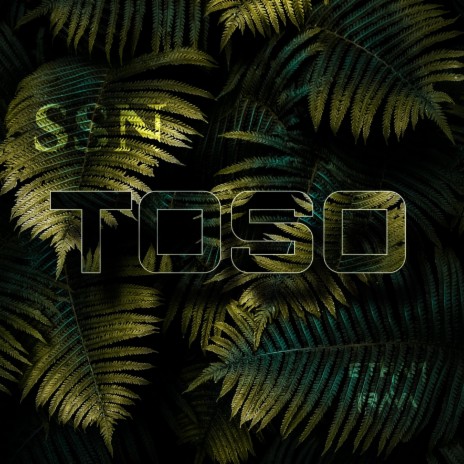 TOSO | Boomplay Music