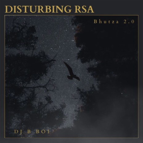 Disturbing RSA ft. Bhutza 2.0 | Boomplay Music