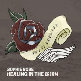 Healing in the Burn lyrics | Boomplay Music