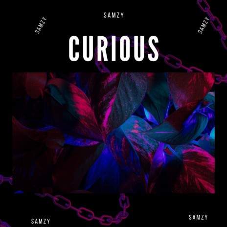 Curious | Boomplay Music