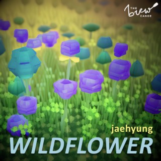 Wildflower (@jaehyung Original)