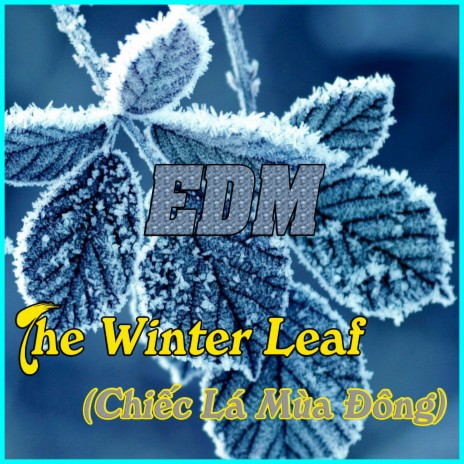 The Winter Leaf (Chiếc Lá Mùa Đông) | Boomplay Music