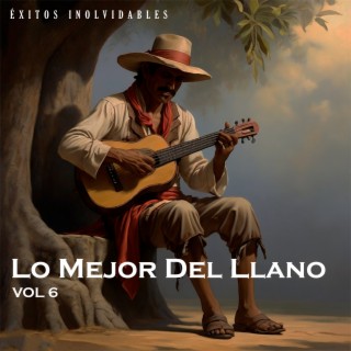 Lo Mejor Del Llano Vol 6