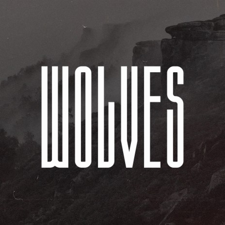 Wolves (Melodic Drill Type Beat) | Boomplay Music