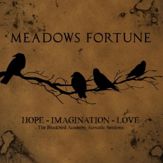 Meadows Fortune