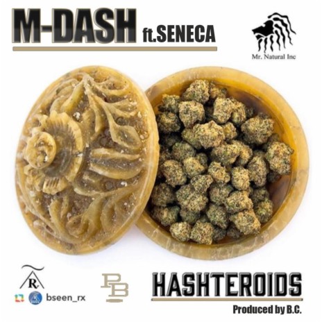 Hashteroids (feat. Seneca) | Boomplay Music