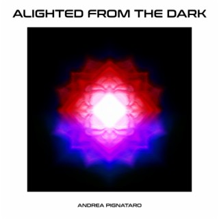 Alighted From The Dark