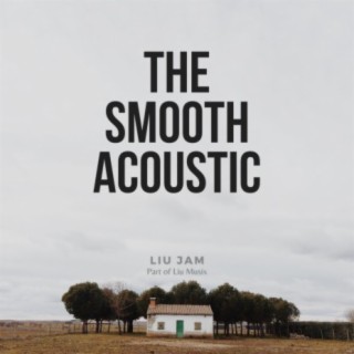 The Smooth Acoustic (Live Acoustic Guitar Instrumental)