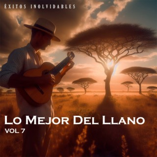 Lo Mejor Del Llano Vol 7