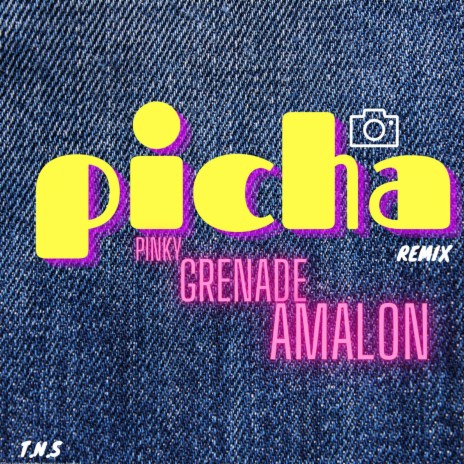 Picha (Remix) ft. Pinky & Amalon | Boomplay Music