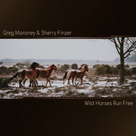 Wild Horses Run Free ft. Sherry Finzer | Boomplay Music