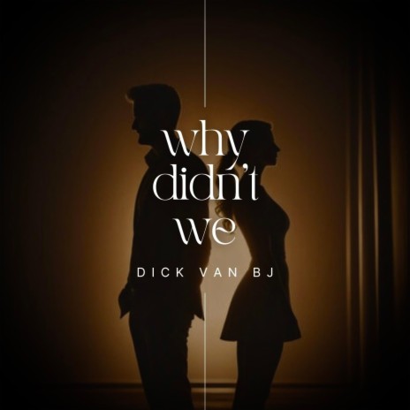 why didn't we | Boomplay Music