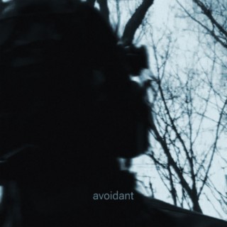 Avoidant lyrics | Boomplay Music