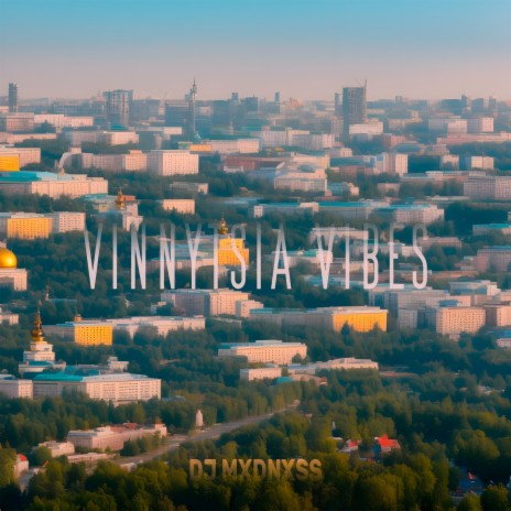 Vinnytsia Vibes | Boomplay Music