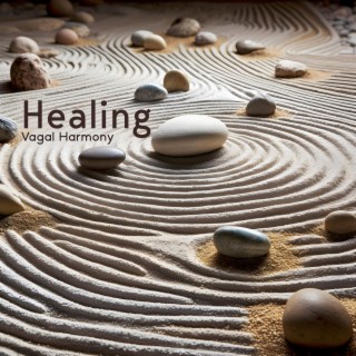 Healing Vagal Harmony: Sleep Transformation Music for Deep Relaxation and Self-Healing