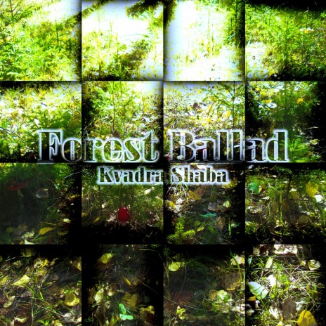 Forest Ballad (Experimental Mix) | Boomplay Music