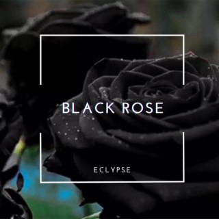 Black Rose