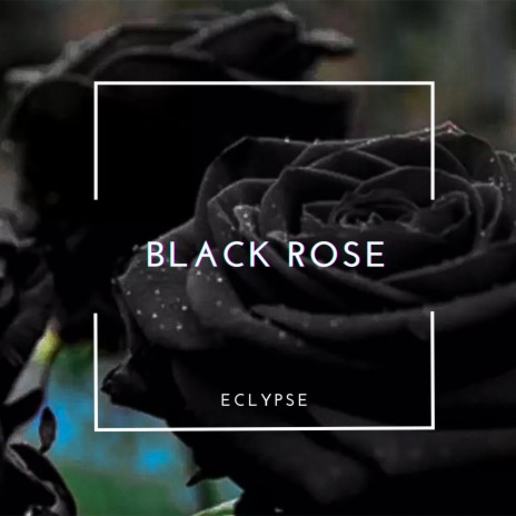 Black Rose | Boomplay Music