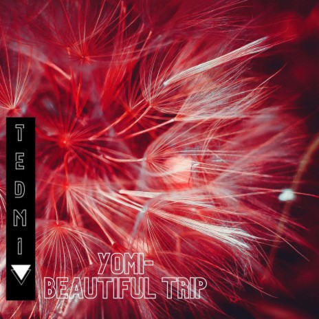 Beautiful Trip | Boomplay Music