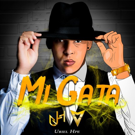 Mi Gata | Boomplay Music