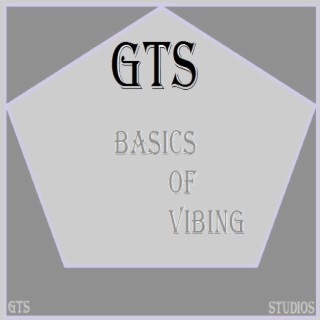 Basics of Vibing