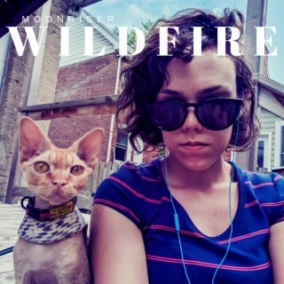 Wildfire lyrics | Boomplay Music