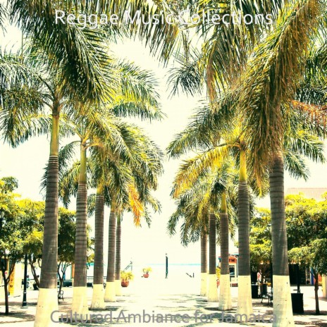 Vivacious Antigua | Boomplay Music