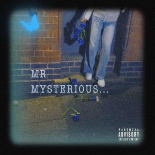 Mr. Mysterious