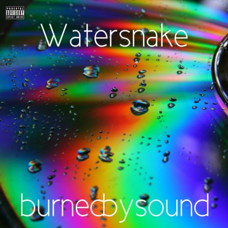 Watersnake